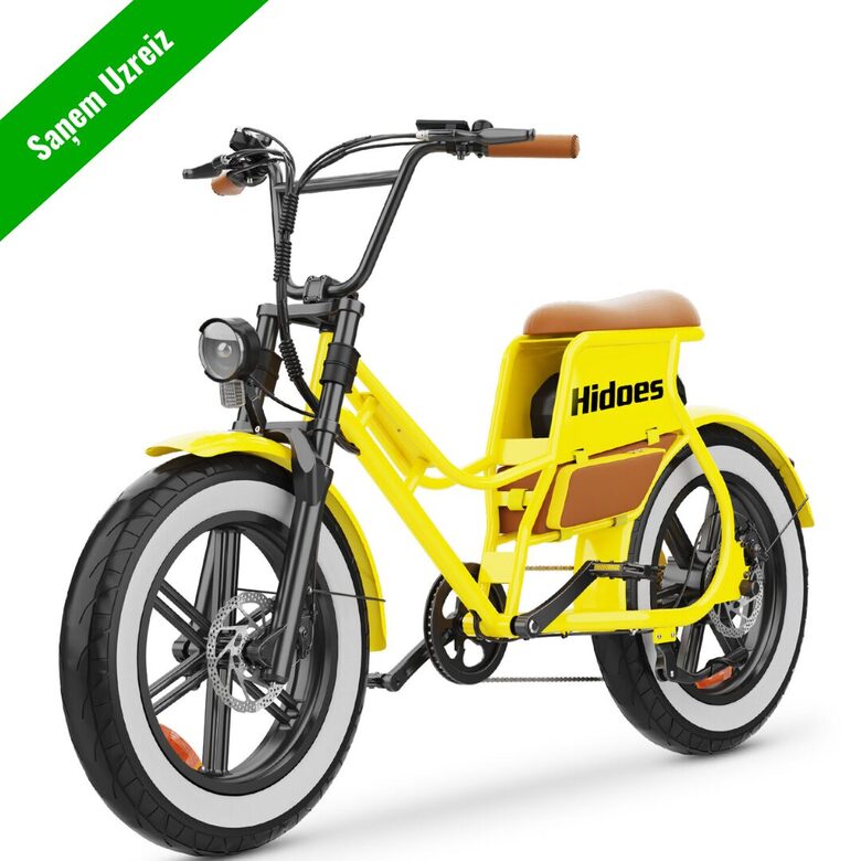 Hidoes C8 electric bike with fat tires