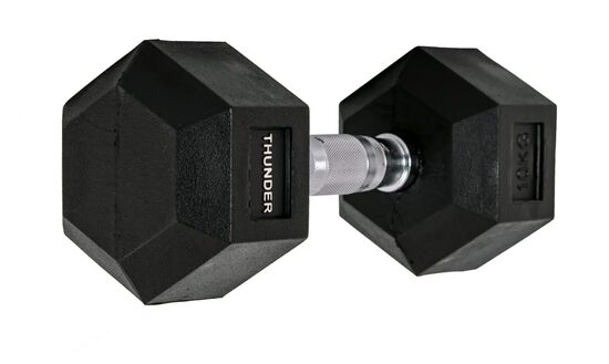 dumbbell 10 kg