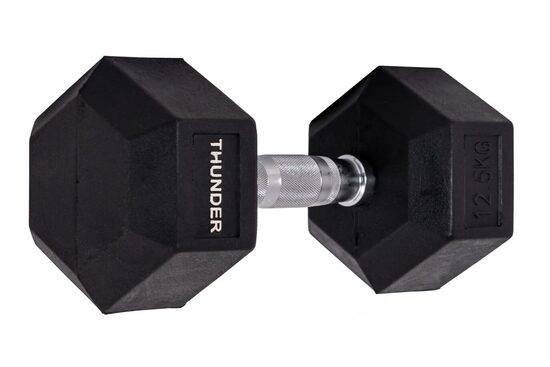 dumbbell 12.5 kg